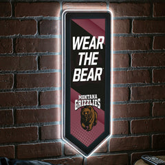 LED Wall Decor, Pennant, University of Montana, Collegiate, Home