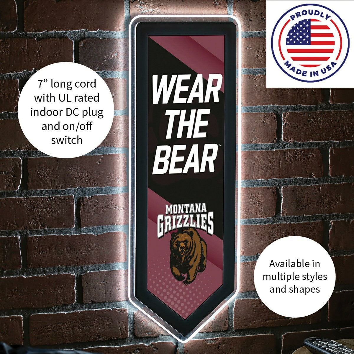 LED Wall Decor, Pennant, University of Montana, Collegiate, Home
