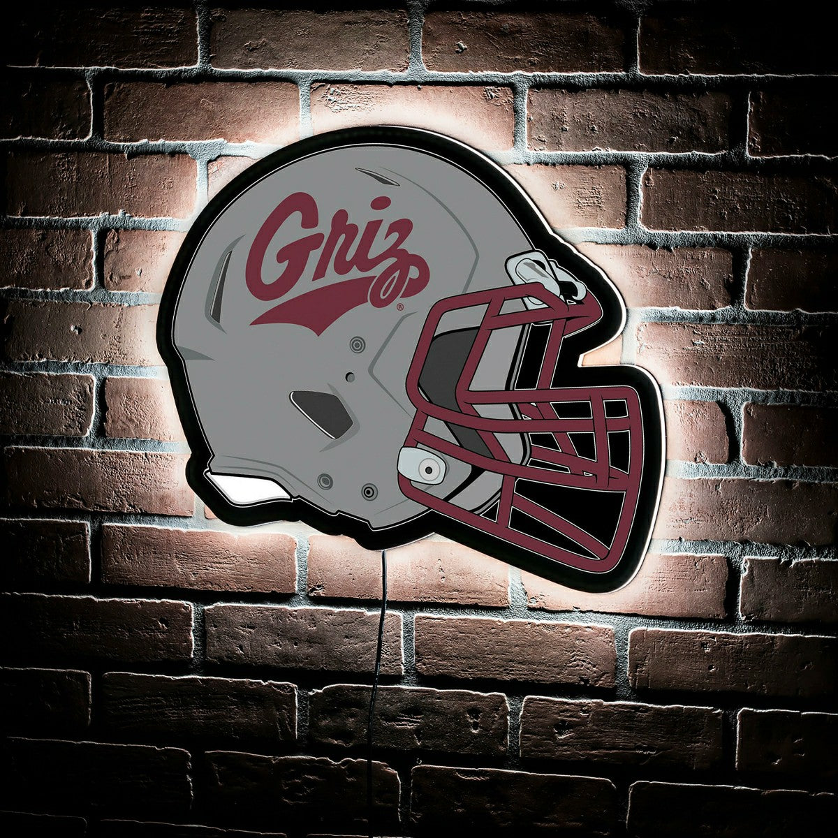LED Wall Decor, Helmet, University of Montana, Collegiate, Home