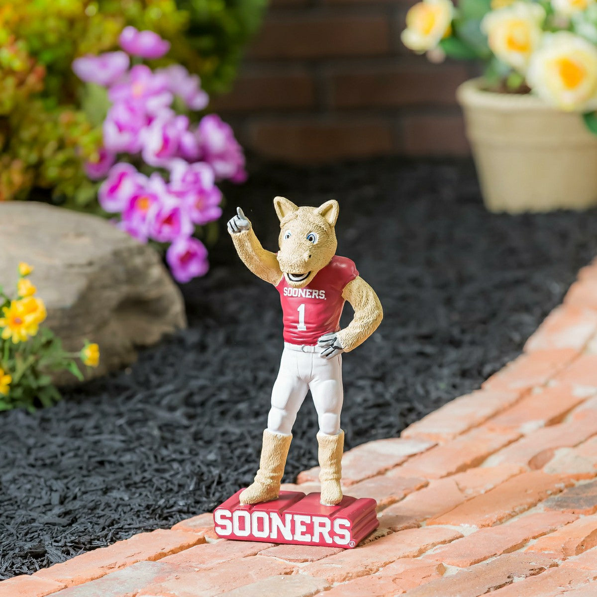 University of Oklahoma, Mascot Statue, Collegiate, Home