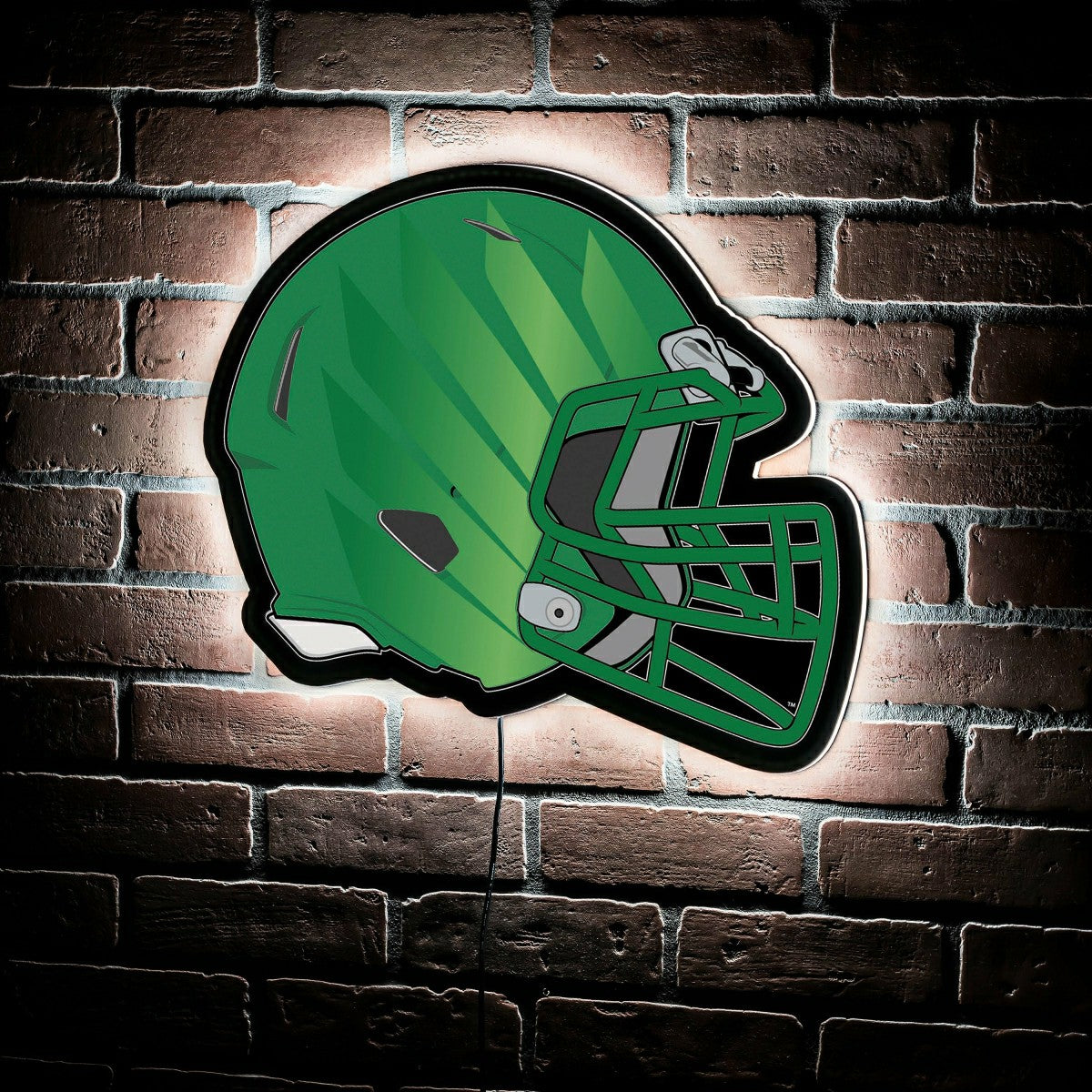 LED Wall Decor, Helmet, University of Oregon, Collegiate, Home