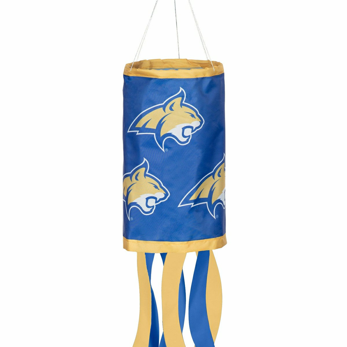 University of Pittsburgh Windsock, Collegiate, Home