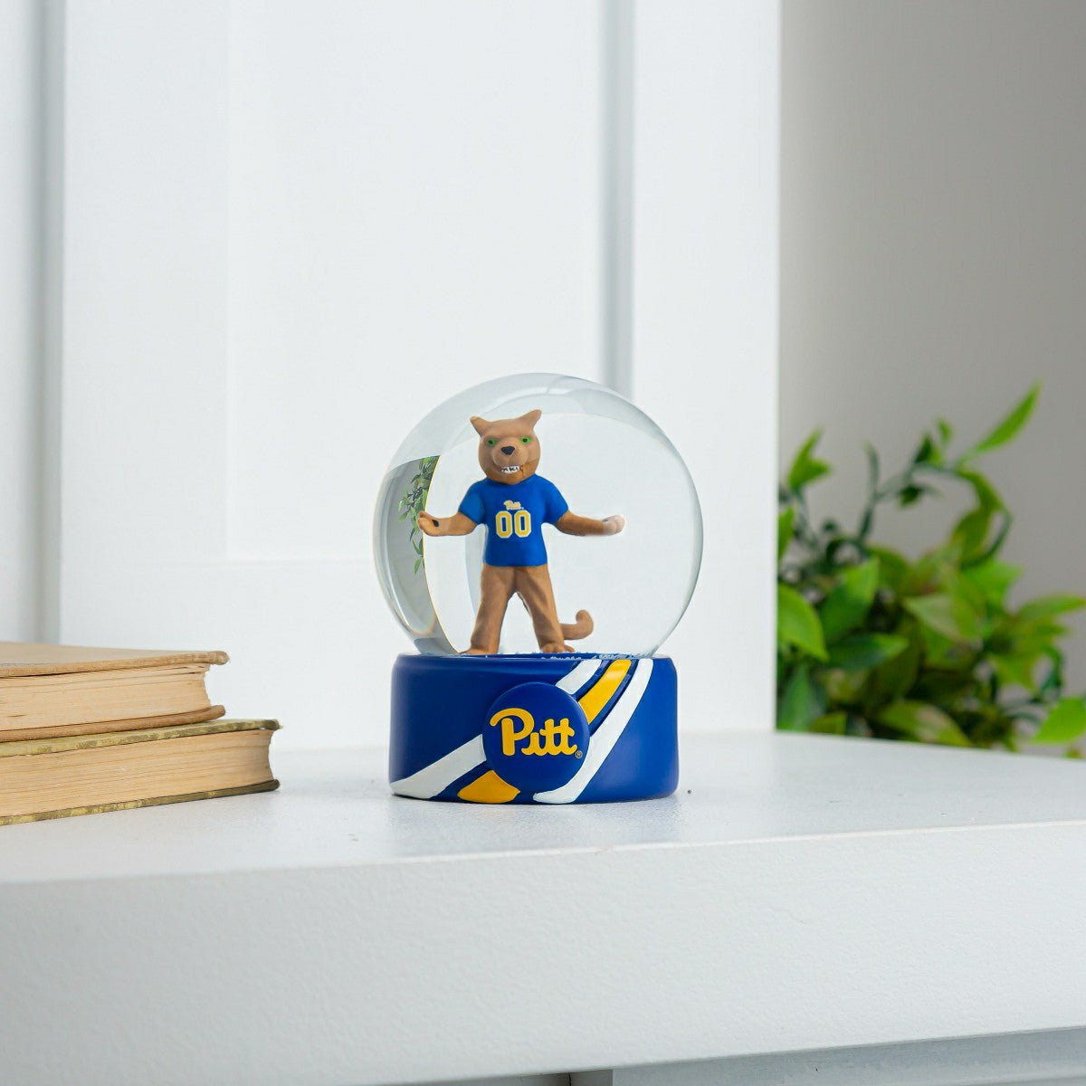 Water Globe, University of Pittsburgh, Collegiate, Home