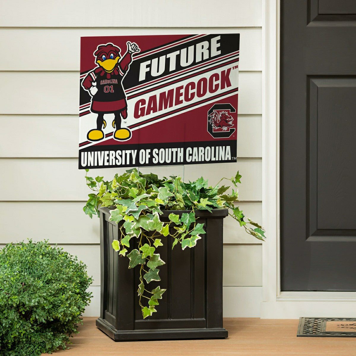 University of South Carolina Coroplast Yard Sign, Future Student, Collegiate, Home