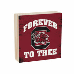 University of South Carolina Plock, Down Home Fans, 6x6, Collegiate, Home