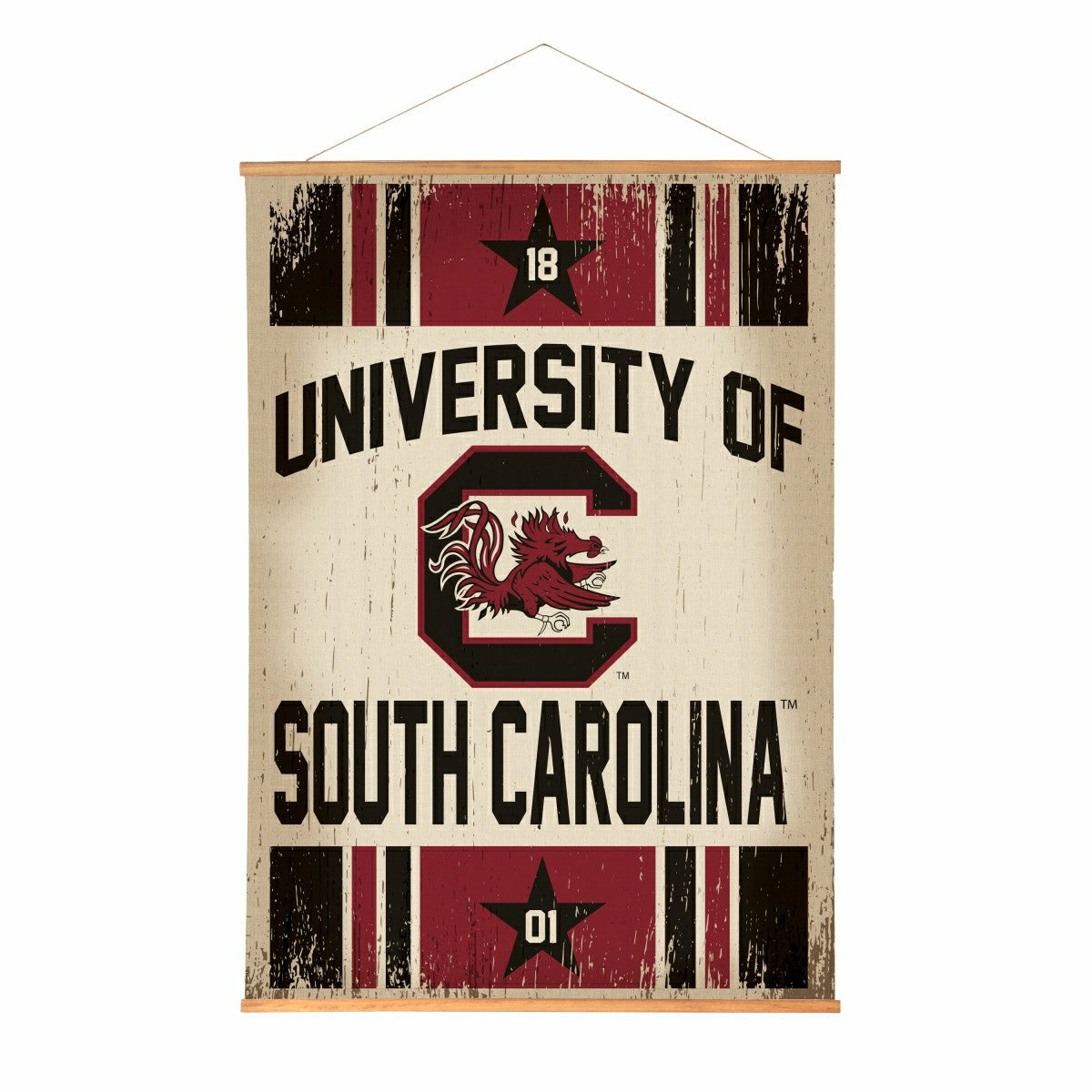 University of South Carolina, Canvas Wall Tapestry, Large, 54x36, Collegiate, Home