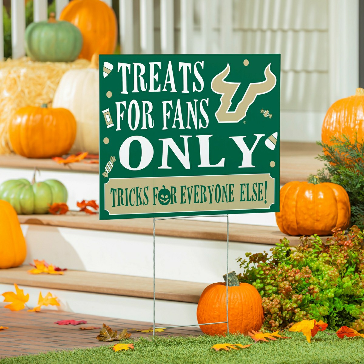 University of South Florida Yard Sign, Halloween Treats for Fans, Collegiate, Home