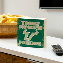 University of South Florida Plock, Down Home Fans, 6x6, Collegiate, Home