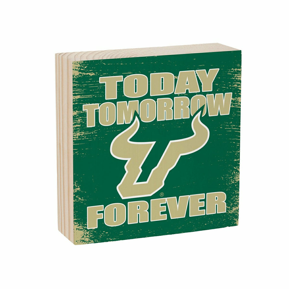 University of South Florida Plock, Down Home Fans, 6x6, Collegiate, Home