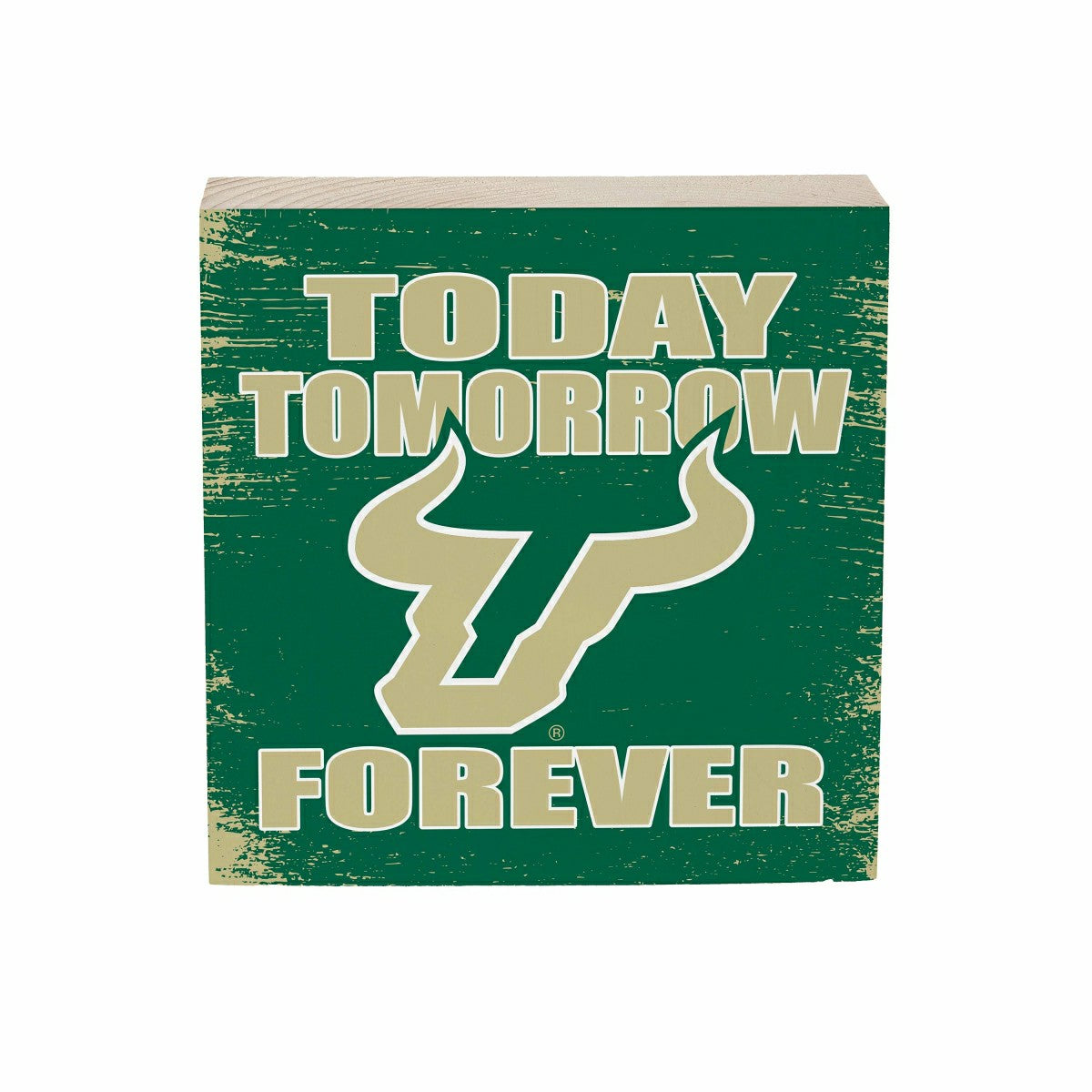 University of South Florida Plock, Down Home Fans, 6x6, Collegiate, Home