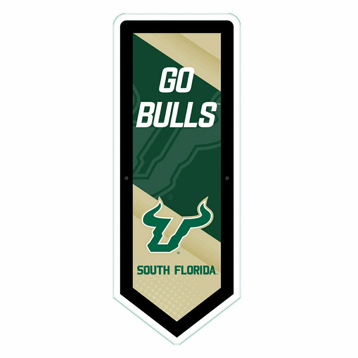 LED Wall Decor, Pennant, University of South Florida, Collegiate, Home
