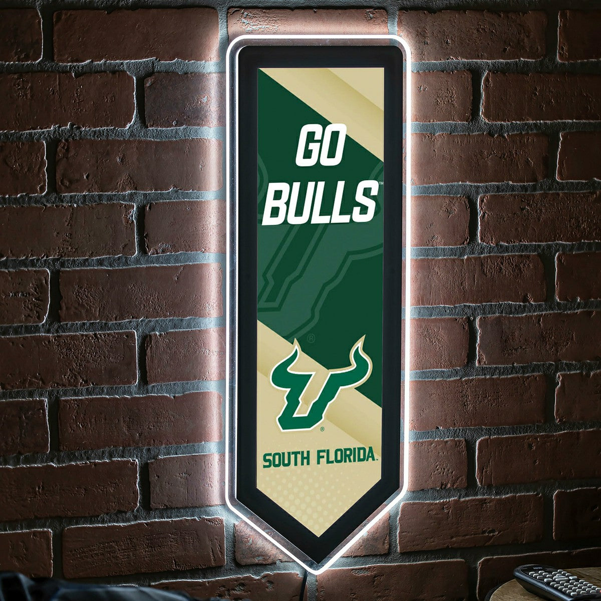 LED Wall Decor, Pennant, University of South Florida, Collegiate, Home