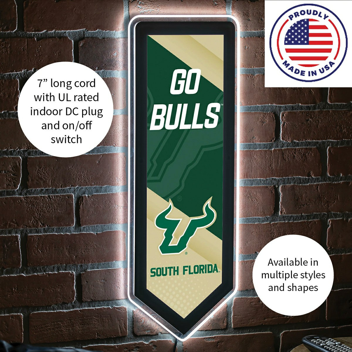 LED Wall Decor, Pennant, University of South Florida, Collegiate, Home