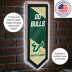 LED Wall Decor, Pennant, University of South Florida, Collegiate, Home