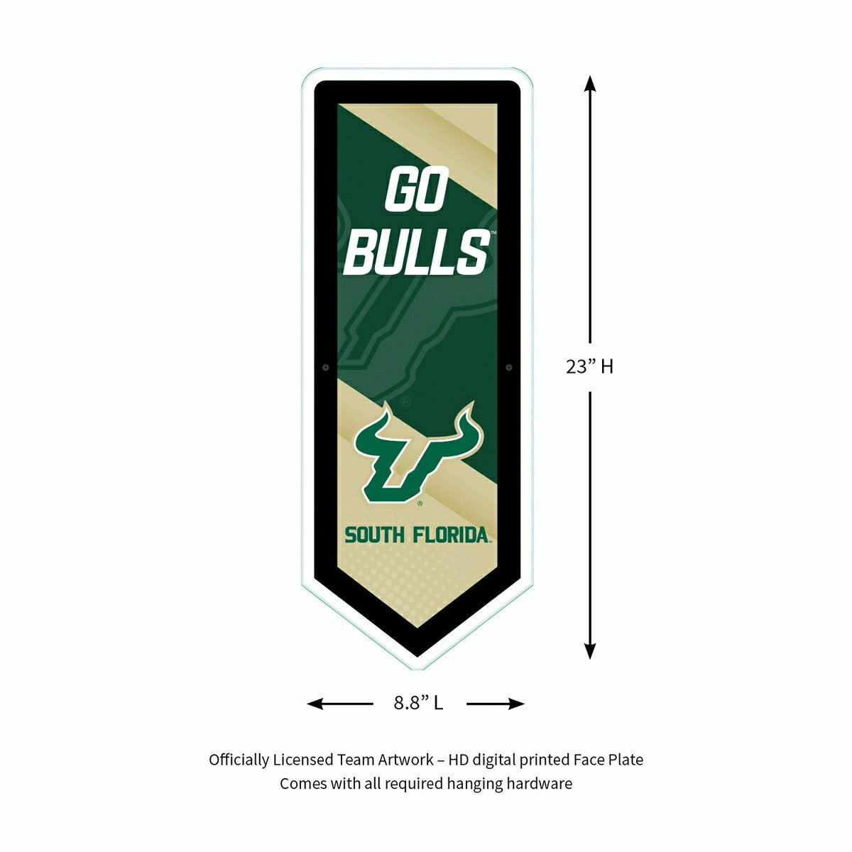 LED Wall Decor, Pennant, University of South Florida, Collegiate, Home