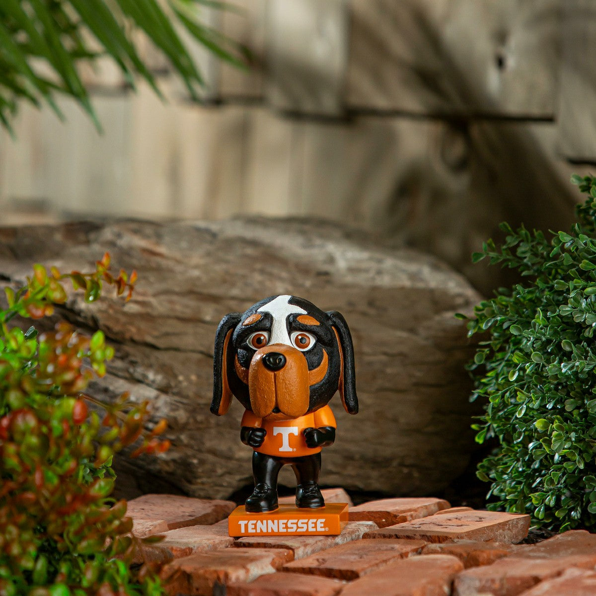 Lil Big Head Statue, Mascot, University of Tennessee, Collegiate, Home