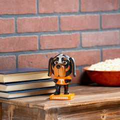 Lil Big Head Statue, Mascot, University of Tennessee, Collegiate, Home