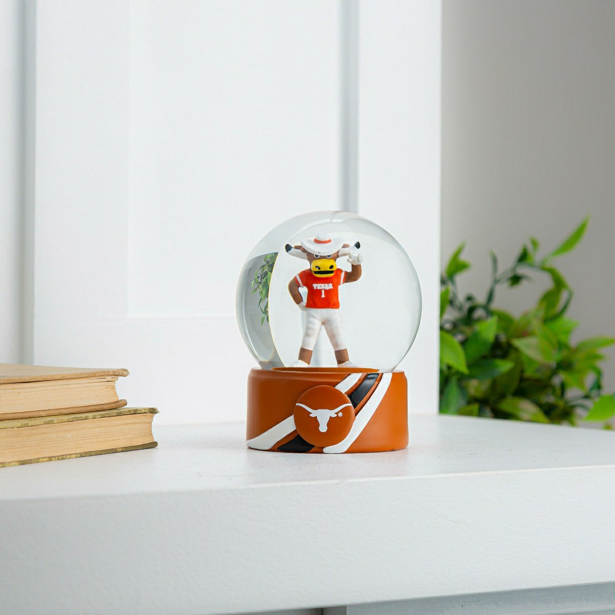 Water Globe, University of Texas, Collegiate, Home