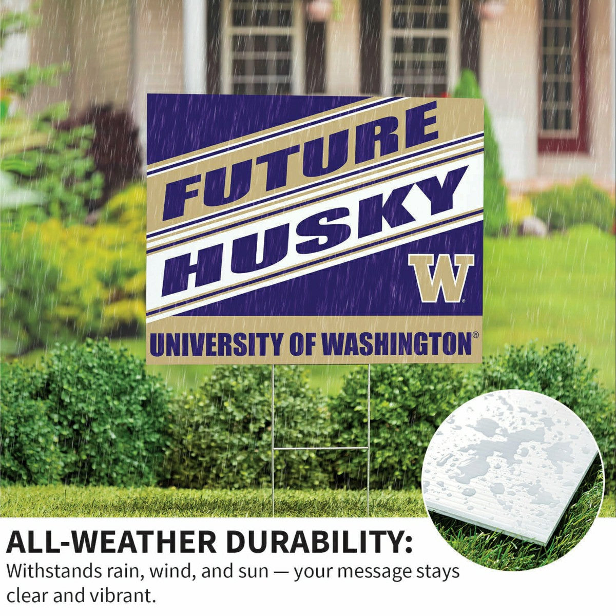 University of Washington Coroplast Yard Sign, Future Student, Collegiate, Home