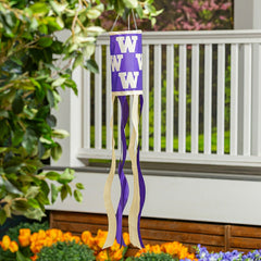 University of Washington Windsock, Collegiate, Home