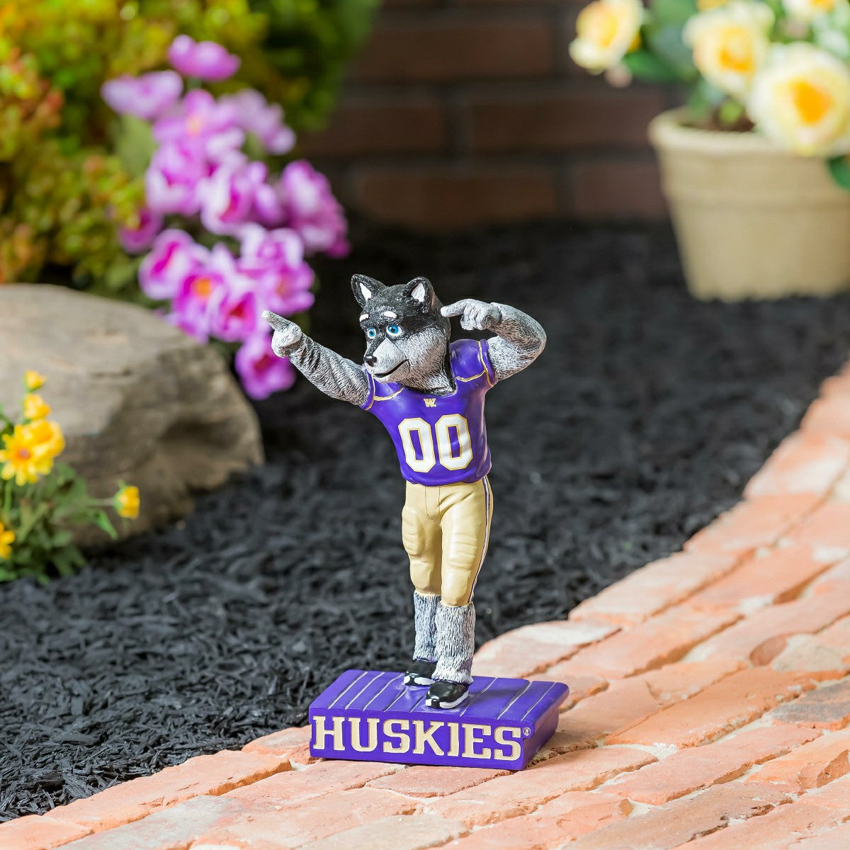 University of Washington Huskies, Mascot Statue, Collegiate, Home
