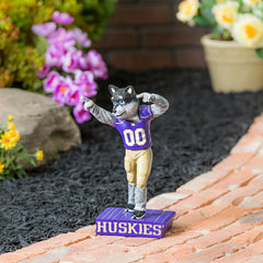 University of Washington Huskies, Mascot Statue, Collegiate, Home