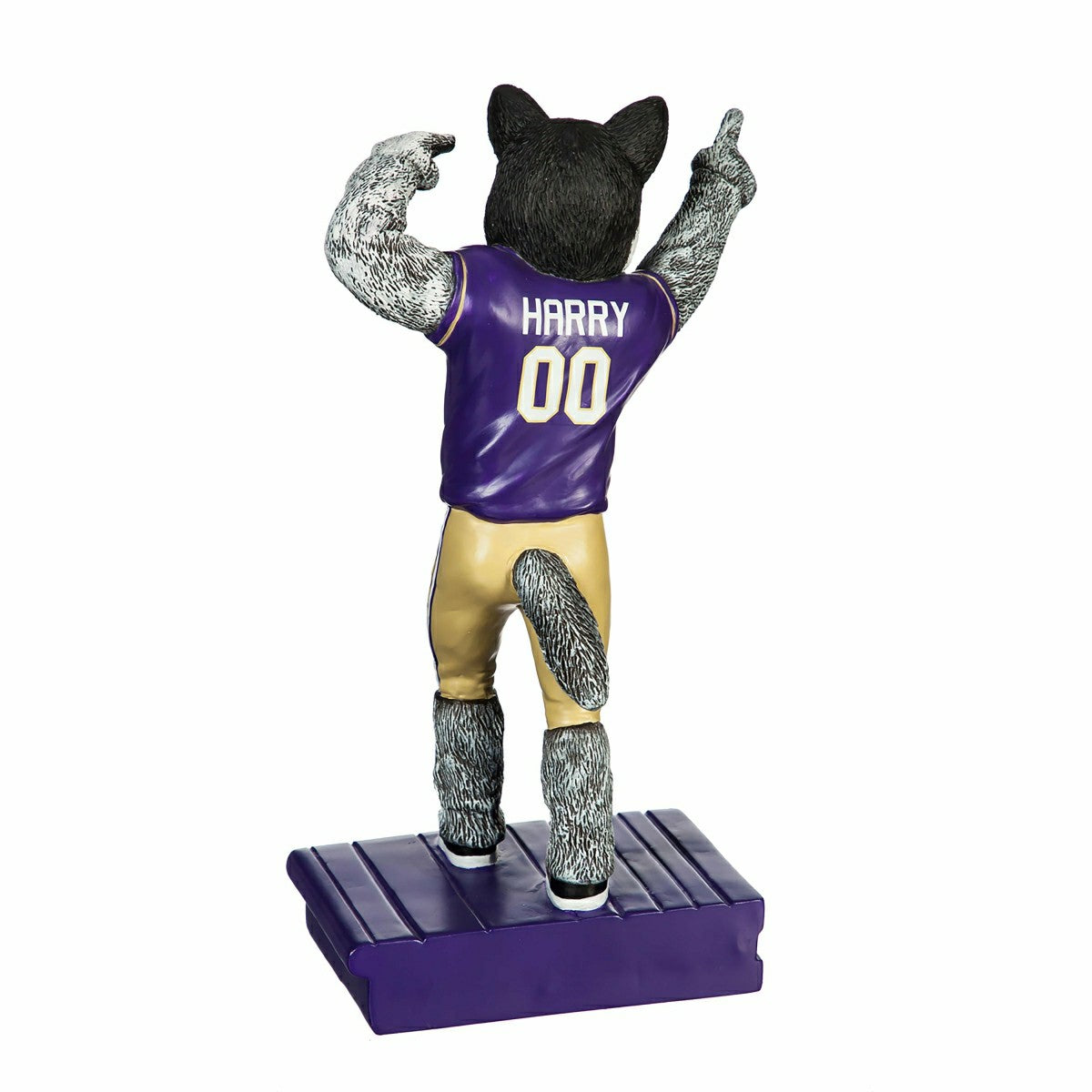 University of Washington Huskies, Mascot Statue, Collegiate, Home