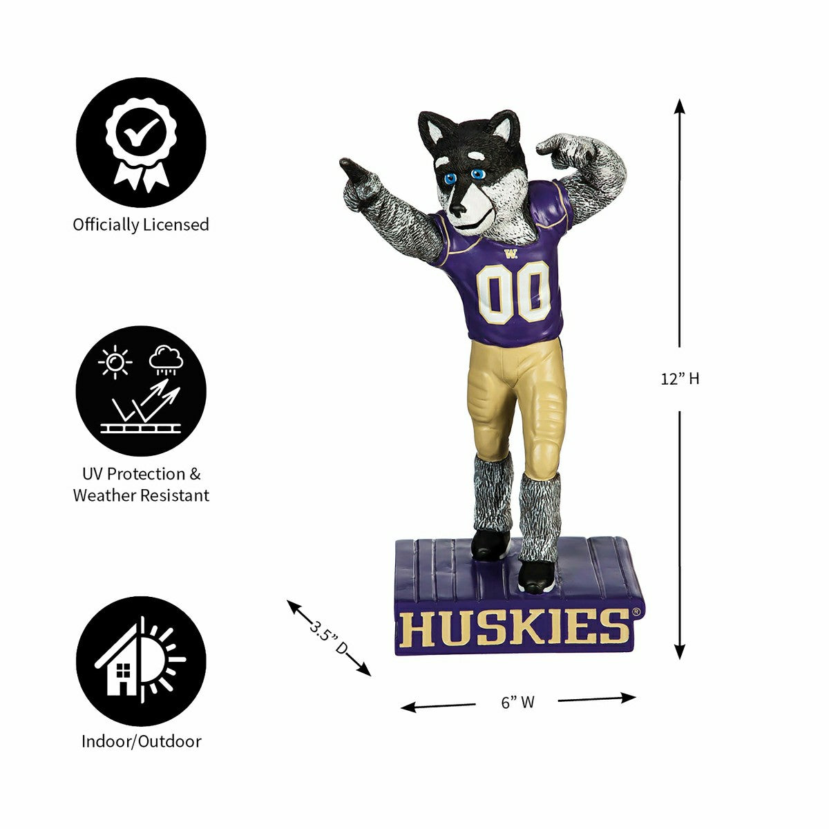 University of Washington Huskies, Mascot Statue, Collegiate, Home