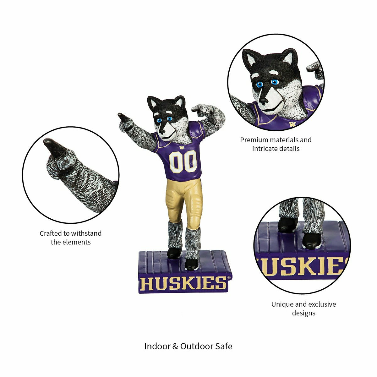University of Washington Huskies, Mascot Statue, Collegiate, Home