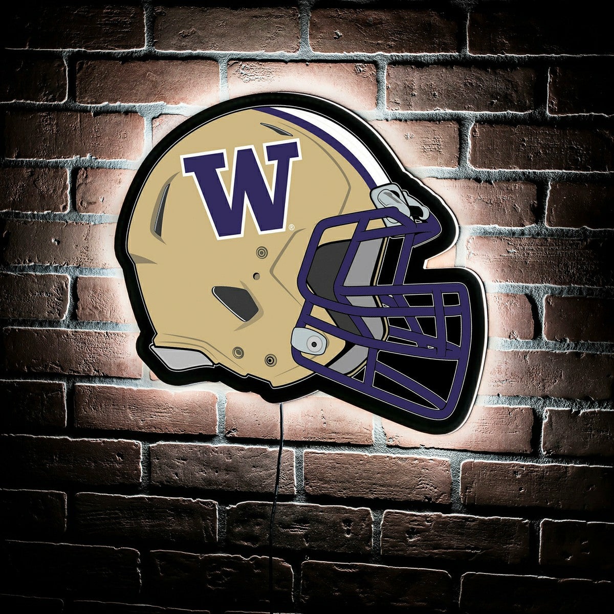 LED Wall Decor, Helmet, University of Washington, Collegiate, Home