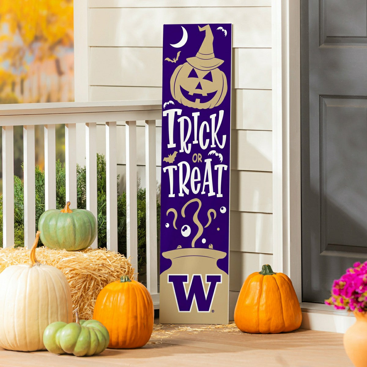 Universitiy of Washington 47" Double Sided Leaner, Halloween, Collegiate, Home