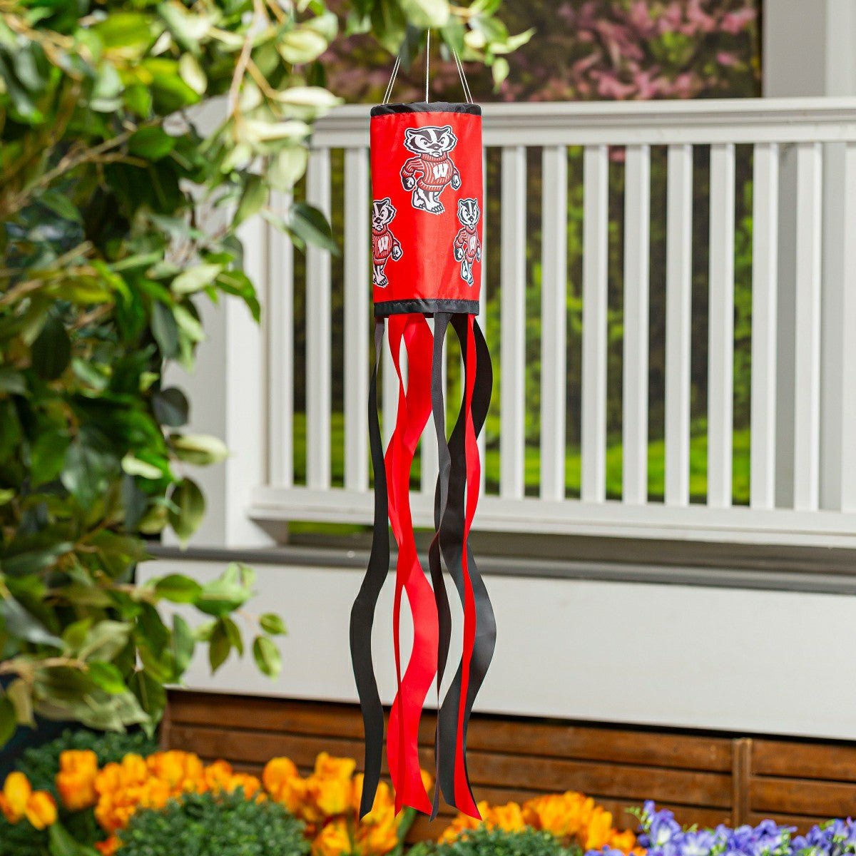 University of Wisconsin-Madison Windsock, Collegiate, Home