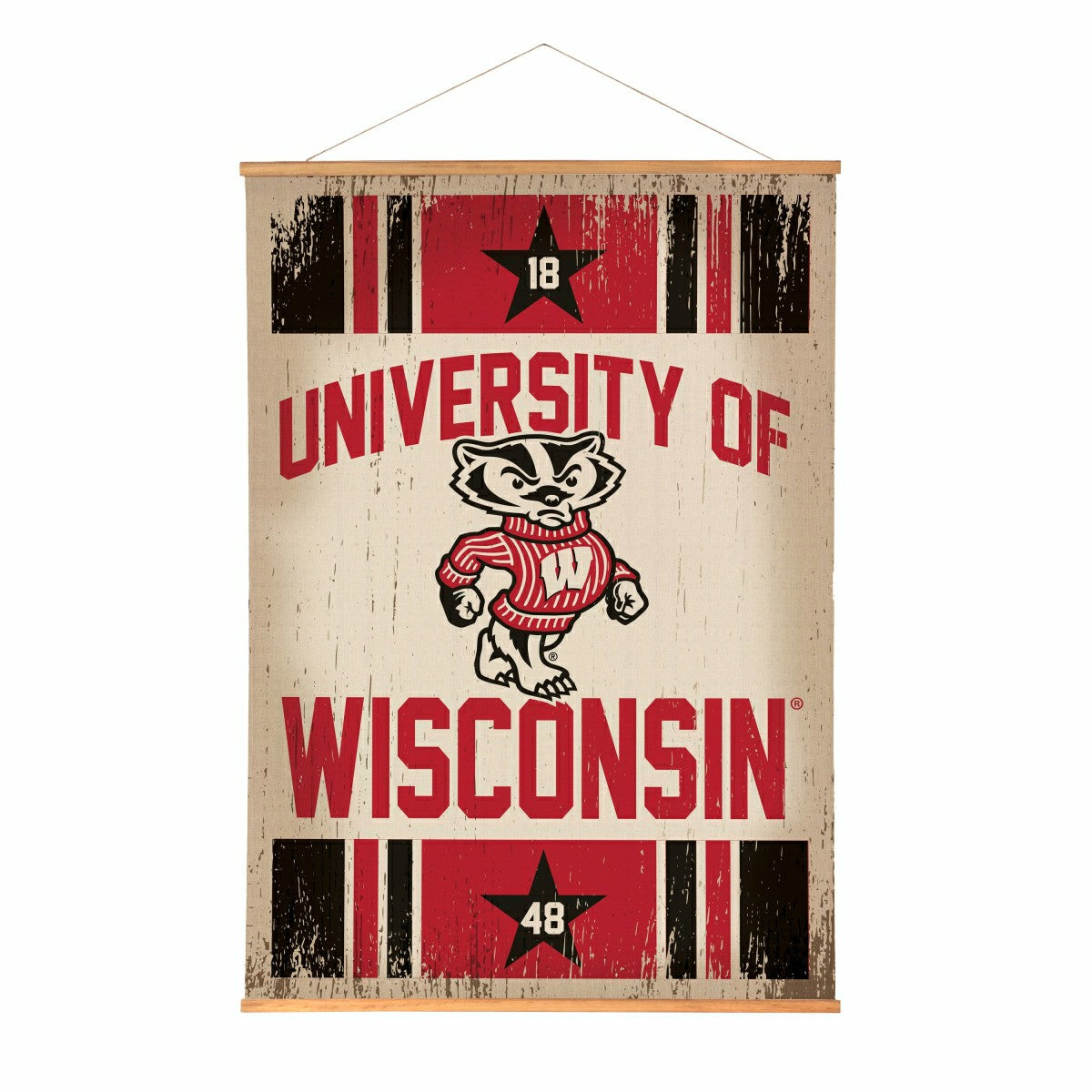 University of Wisconsin-Madison, Canvas Wall Tapestry, Large, 54x36, Collegiate, Home