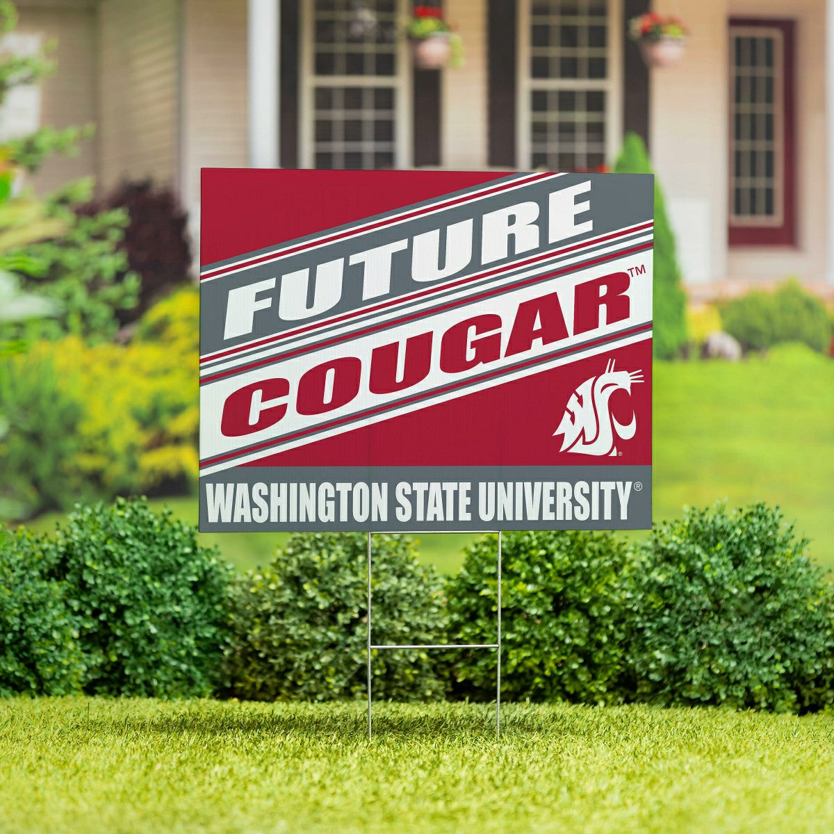 Washington State University Coroplast Yard Sign, Future Student, Collegiate, Home