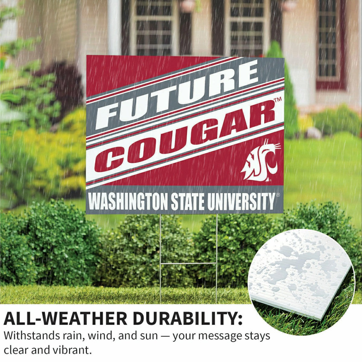 Washington State University Coroplast Yard Sign, Future Student, Collegiate, Home