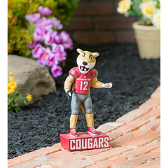 Washington State University, Mascot Statue, Cougars, Collegiate, Home