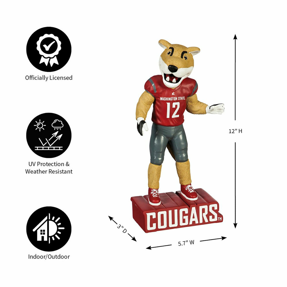 Washington State University, Mascot Statue, Cougars, Collegiate, Home