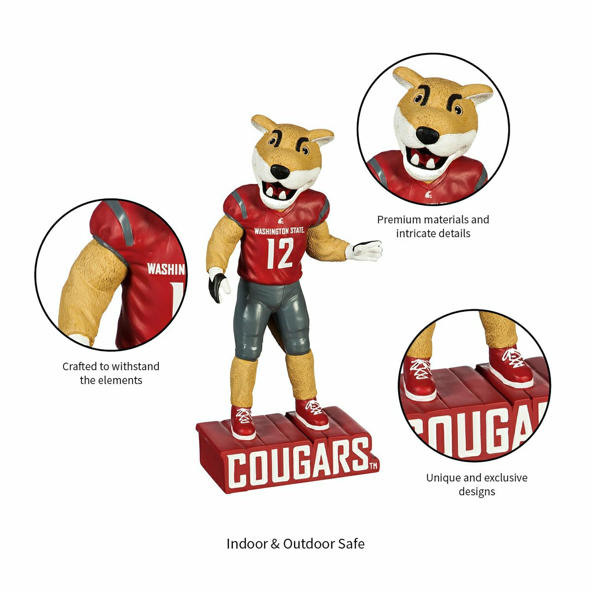 Washington State University, Mascot Statue, Cougars, Collegiate, Home