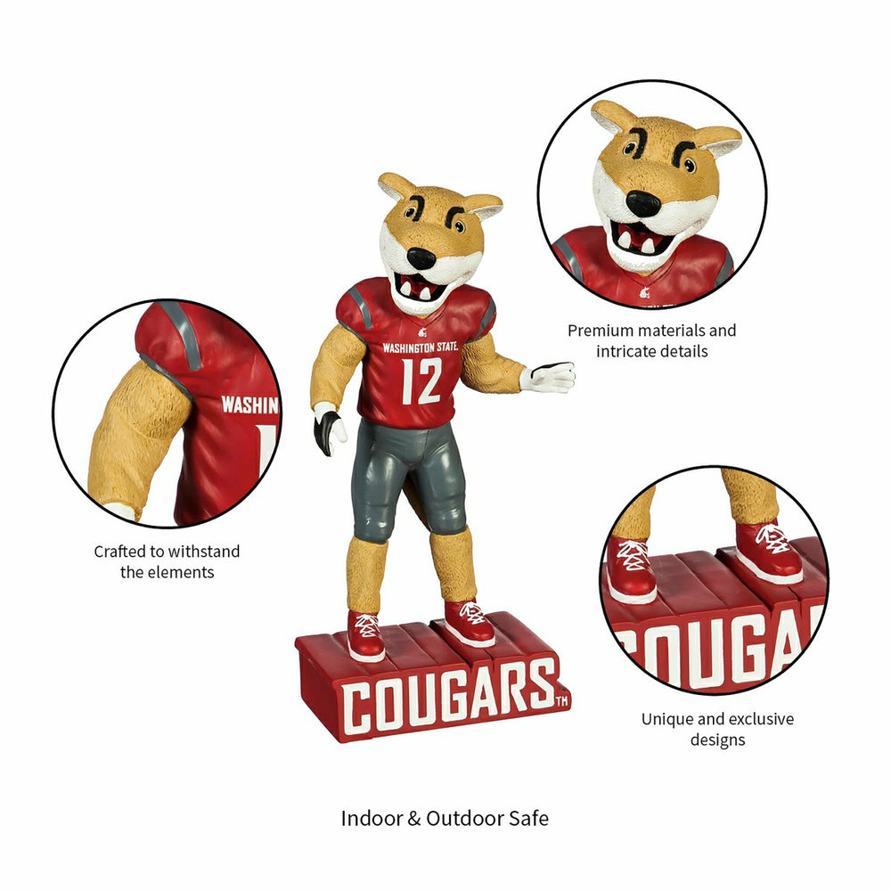 Washington State University, Mascot Statue, Cougars, Collegiate, Home