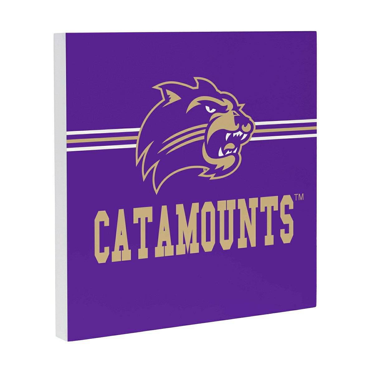 Western Carolina University Wood Wall Sign, 12x12, Collegiate, Home
