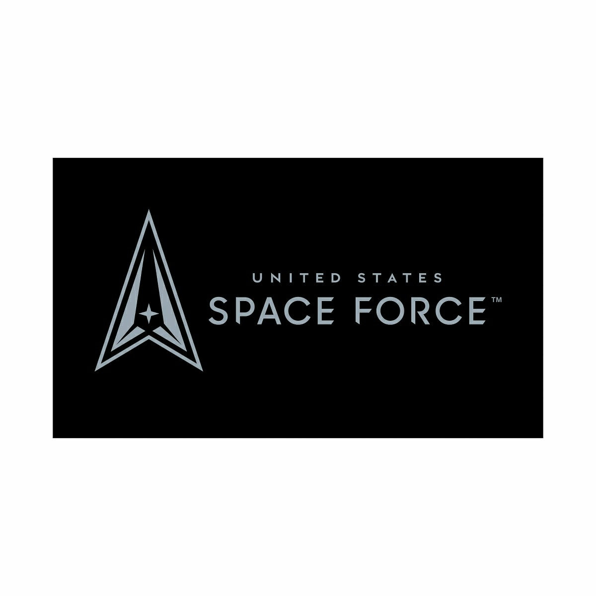 US Space Force Full Color PVC Mat, 16" x 28", US Military