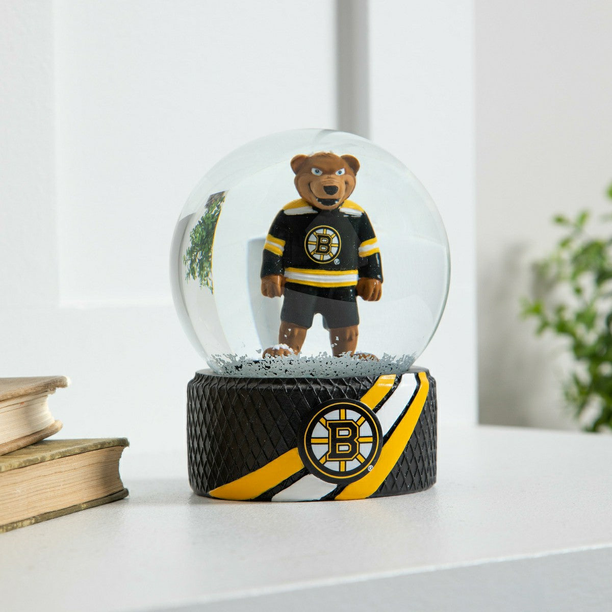 Water Globe, Boston Bruins, NHL, Home