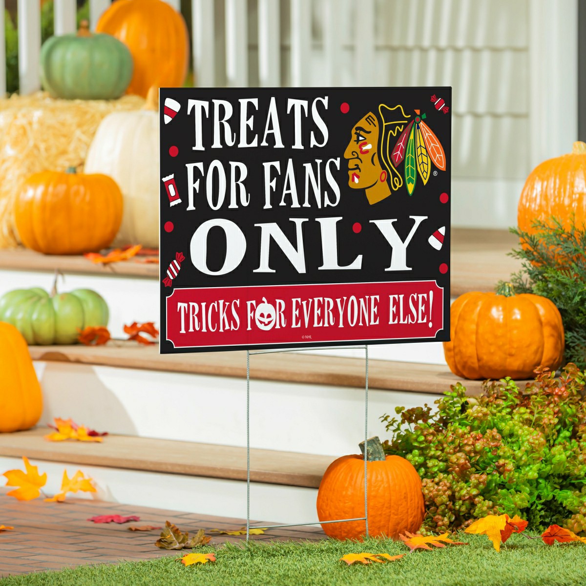 Chicago Blackhawks Yard Sign, Halloween Treats for Fans, NHL, Home
