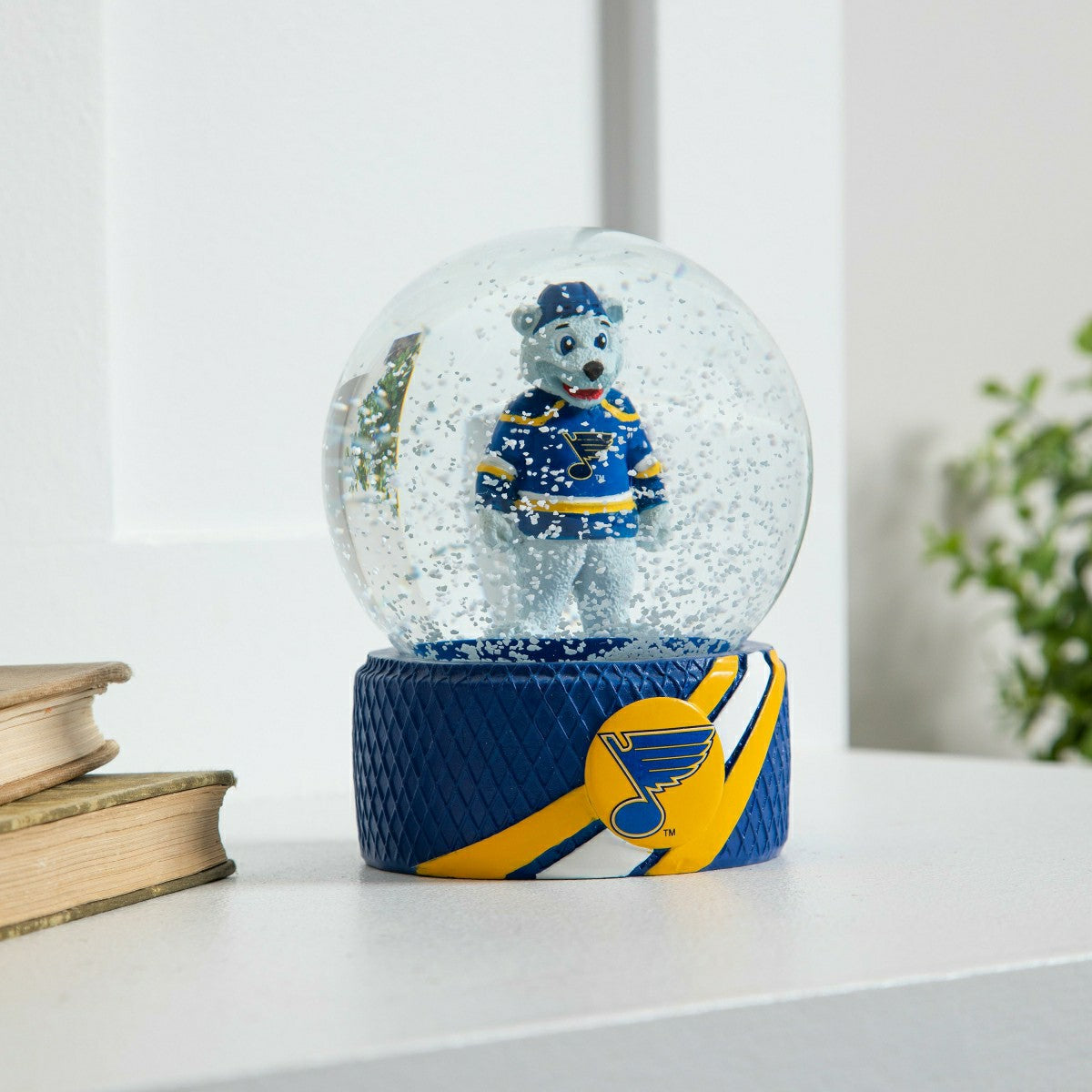 Water Globe, St Louis Blues, NHL, Home