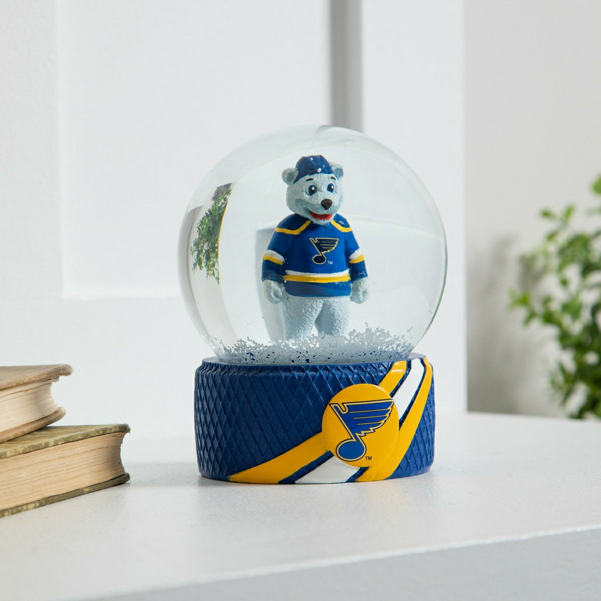 Water Globe, St Louis Blues, NHL, Home