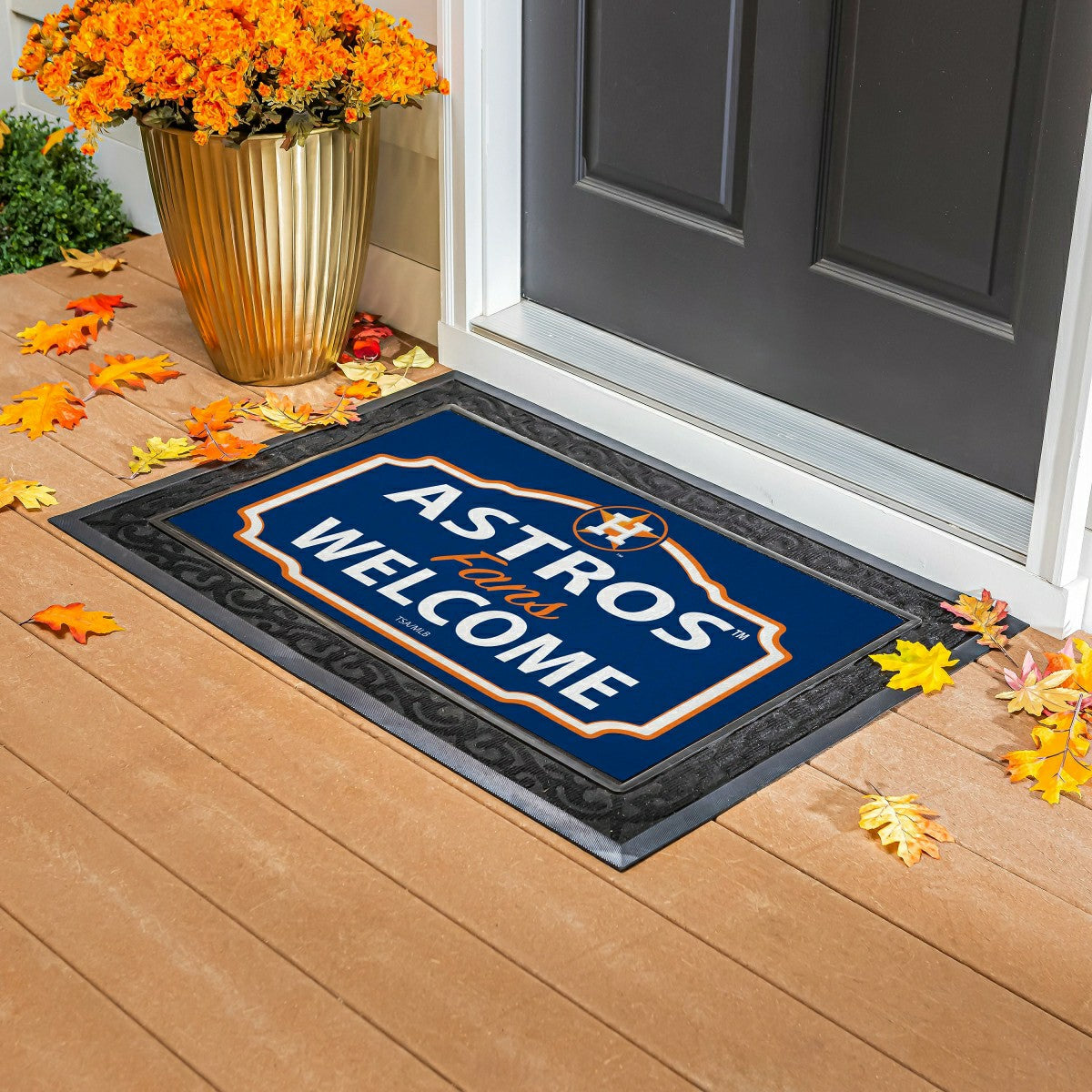 Houston Astros Sassafras Estate Switch Mat, MLB