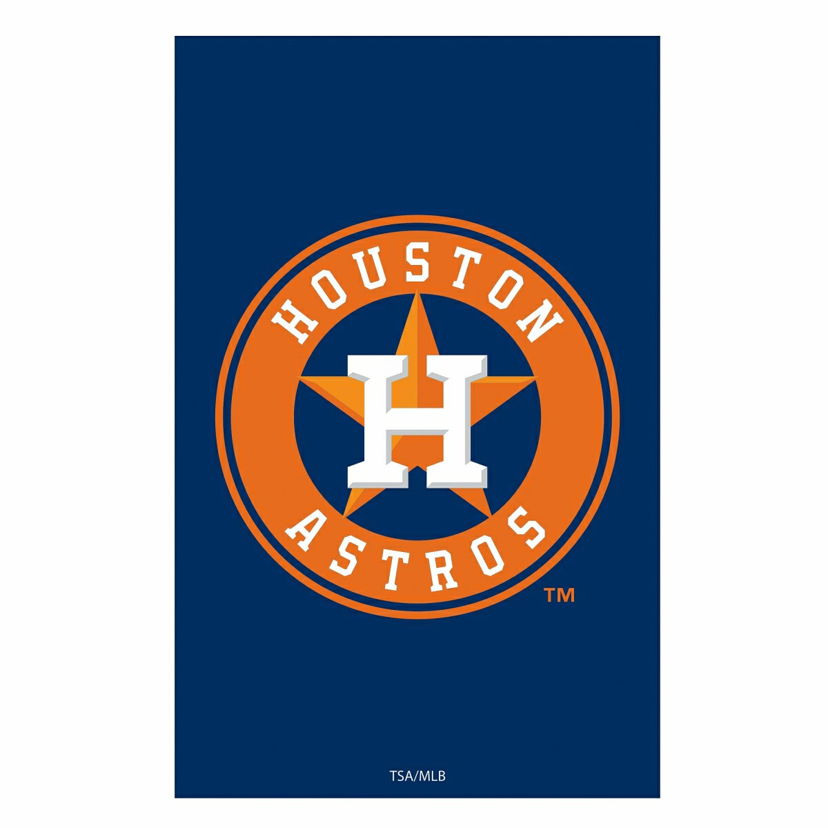 Houston Astros Appliqué House Flag, MLB, Home