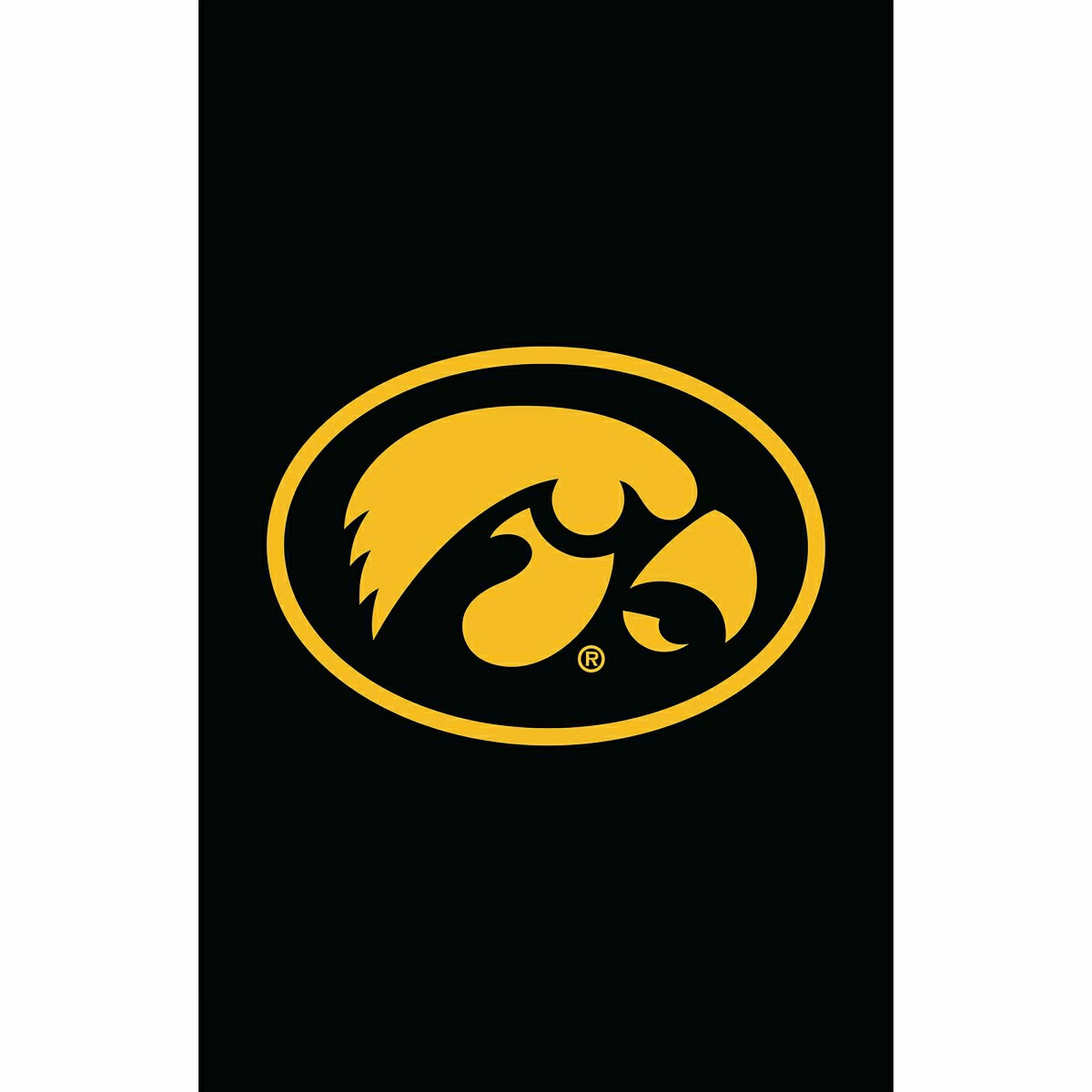 University of Iowa Applique House Flag, Sale, Collegiate, Home