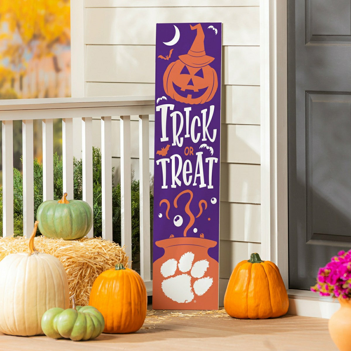 47" Double Sided Leaner, Clemson University, Halloween, Collegiate, Home