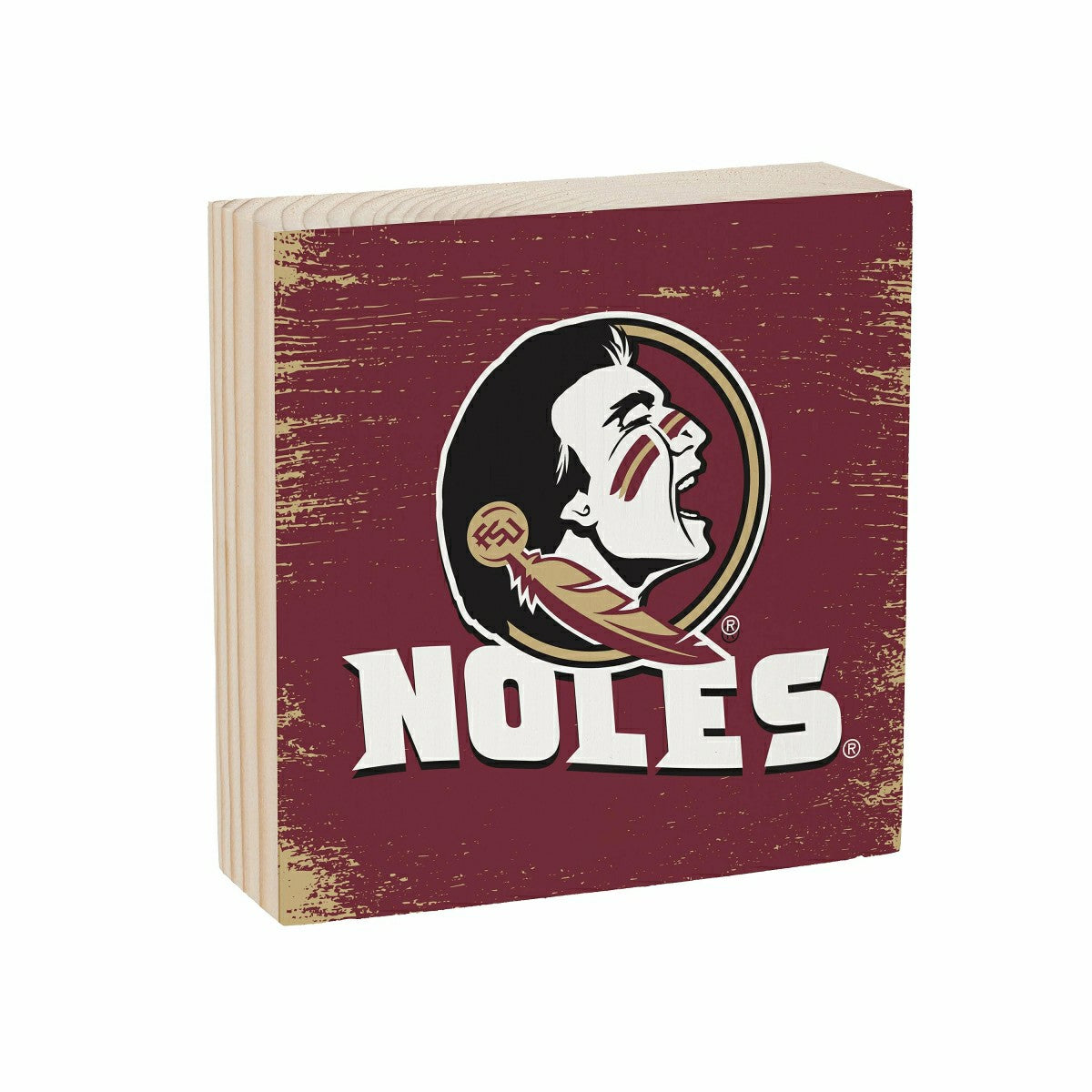 Florida State University Plock, Down Home Fans, 6x6, Collegiate, Home